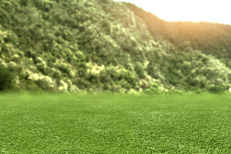 Meadow field with hills and sunlight backgroundの写真素材