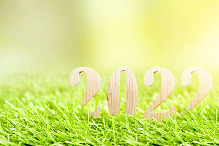 2022 on the green grass. Happy New Year 2022