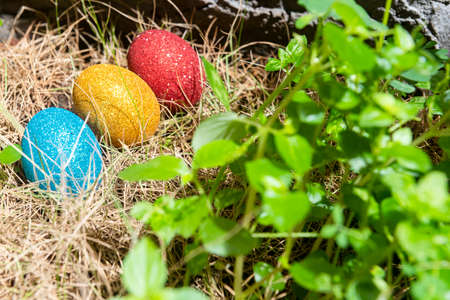 Colorful easter eggs on the grass. Happy Easter