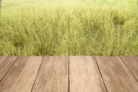 Wooden table with green grass field background