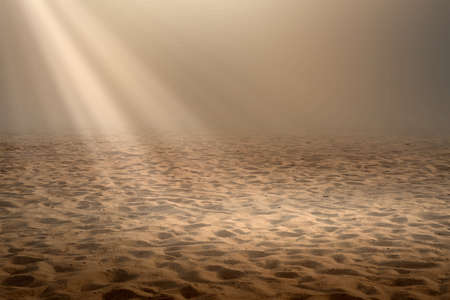 Views of sand dune with sunlight background