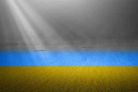 Ukraine flag on the field with sunlight backgroundの写真素材