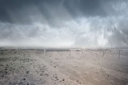 Drought field with a dramatic sky backgroundの写真素材