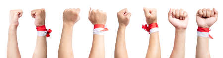 Human hand showing ribbon with the red and white color of the Indonesian flag isolated over white backgroundの写真素材