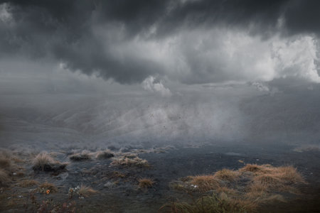 Field with the foggy backgroundの写真素材
