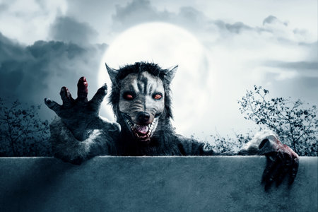 Werewolf coming from behind the wall with a full moon and night scene background. Halloween conceptの写真素材