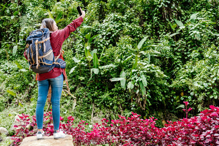 Asian woman with a backpack searching the signal for her mobile phone in the forestの写真素材