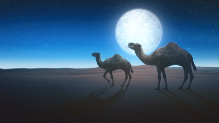 Camel crossing the desert with a night scene backgroundの写真素材