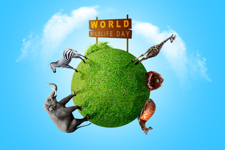 Wildlife in nature. World Wildlife Dayの写真素材