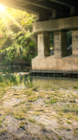 Green grass in the field with sunlight backgroundの写真素材