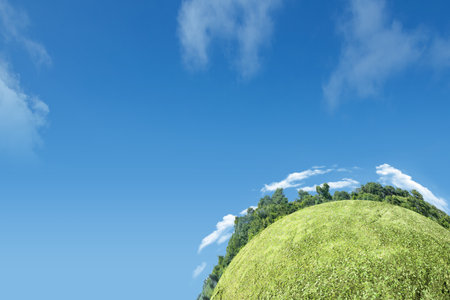 Meadow field with a blue sky background