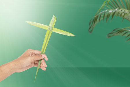 Human hand holding palm leaf with a cross shape. Palm Sunday Conceptの写真素材