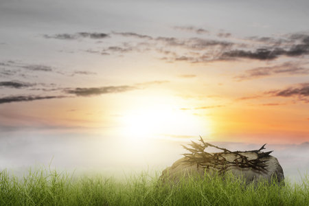 Crown of thorns on the field with sunset sky backgroundの写真素材