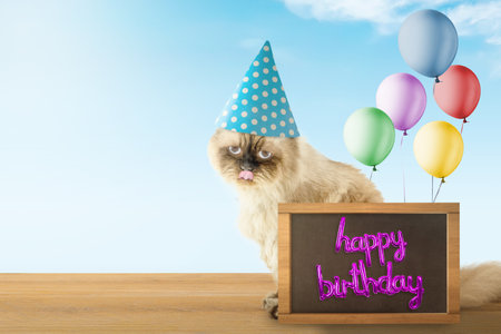 Portrait of a beige cat celebrating a birthday party. Happy birthday cat conceptの写真素材