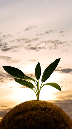 Green plants growing on the ground. World ozone day concept