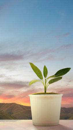 Green plants grow on the ground in disposable cups. World ozone day conceptの写真素材