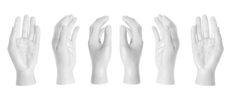 The hand of the mannequin part isolated over a white backgroundの写真素材