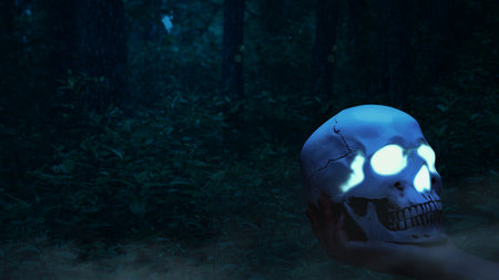 Hand holding human skull head with night scene background. Scary skull Halloween conceptの写真素材