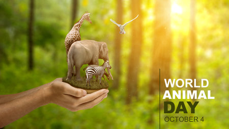 Human hand showing animals in the wildlife. World Animal Day conceptの写真素材