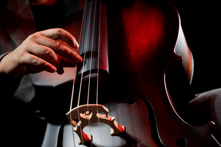 Musician playing cello. A cellist or Cello player performing with a black backgroundの写真素材