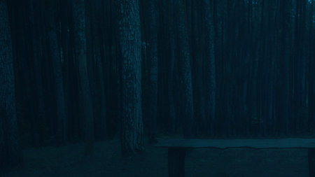 Misty forest in the night. Scary Halloween background conceptの写真素材