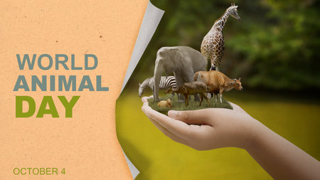 Human hand showing animals in the wildlife. World Animal Day conceptの写真素材