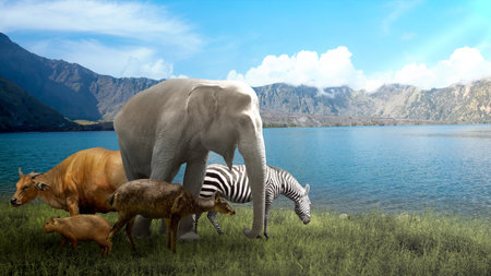 Animals in the wildlife. World Animal Day conceptの写真素材