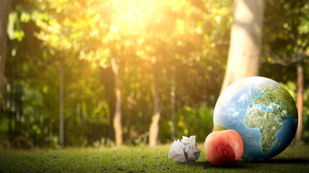 Earth with apple fruit and crumpled paper on outdoors. World Teacher Day concept