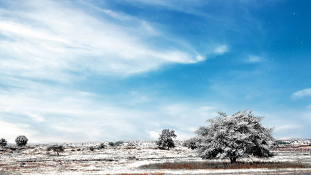 Snowfield with a blue sky backgroundの写真素材