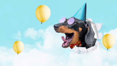 A portrait of a dachshund dog comes out from torn paper. Cute animal conceptの写真素材