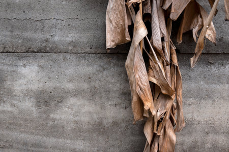 Closeup view of dry banana leaf with grunge cracked wall background