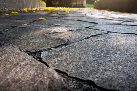 Closeup view of the footpath in the park with sunlight background