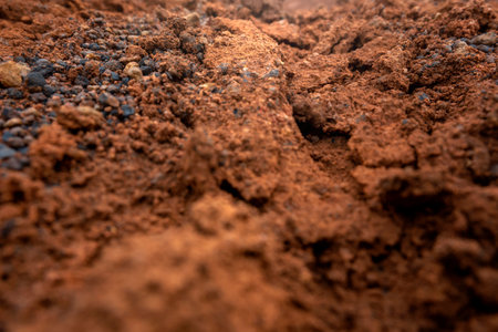 Closeup view of dry cracked soil texture for background