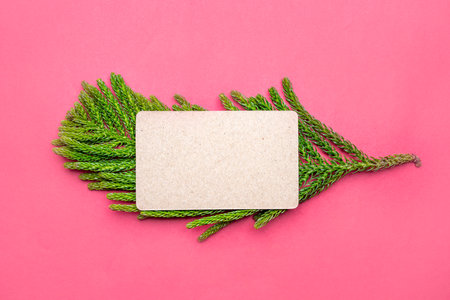 Green fir tree spruce branch and empty business card on a colored background. Empty business card for copy spaceの写真素材