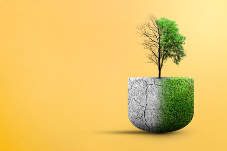 The difference between drought trees to growing trees on the ground on a colored background. Environment and climate change conceptの写真素材