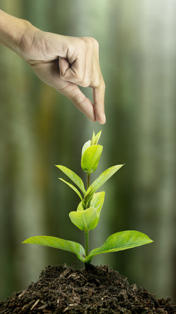 Human hand planting plant seedlings on the soil. Environment and climate change conceptの写真素材