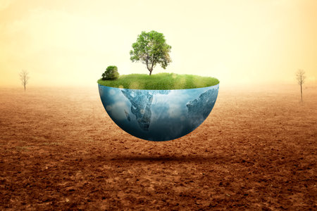 A grown tree on fertile land with a drought field background. Environment and climate change concept