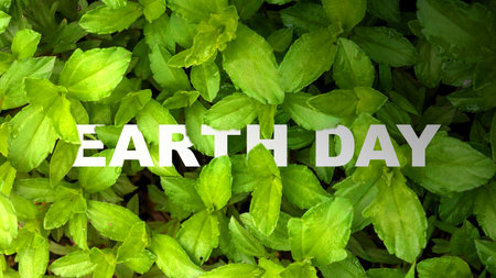 Closeup view of green leaves with Earth Day message. Earth day conceptの写真素材