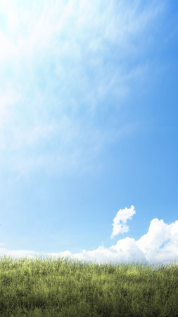 Closeup view of green grass on the field with a blue sky backgroundの写真素材