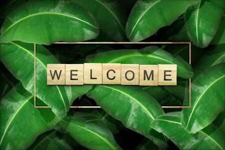 A row of wooden cubes with welcome text with green leaves background. Introduction conceptの写真素材