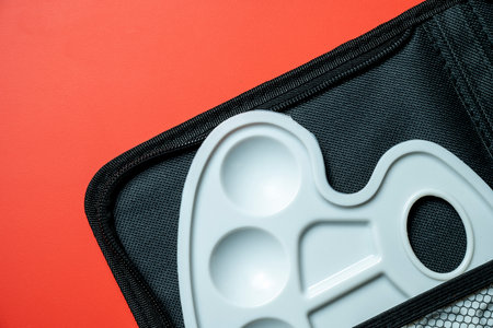 A white palette sits in a black case on a red background. The palette is made of plastic and has a...