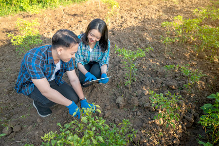 A man and a woman are kneeling down in a field, looking at chili plants. The man is wearing a blue...