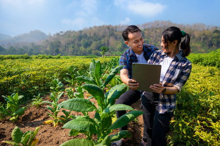 A man and a woman are looking at a tablet in a field. The man is wearing a blue shirt and the woman is wearing a plaid shirtの写真素材