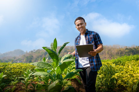 A man is standing in a field of plants, holding a tablet. Scene is peaceful and serene, as the man is surrounded by nature and he is enjoying his workの写真素材