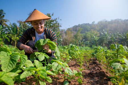An Indonesian farmer man is working in a field of water spinach plants. He is wearing a straw hat and he is smilingの写真素材