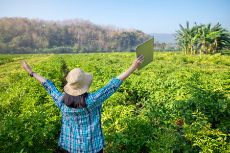 An Indonesian farmer girl is standing in a chili field with a laptop in her hand. She is smiling and...