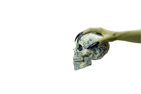 Witches hand holding a human head skull. The hand color is green. Evil, zombie, or monster hand isolated over a white background. Halloween conceptの写真素材