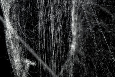 Spooky creepy cobweb spiders web covered a black background. Abstract halloween backgroundの写真素材