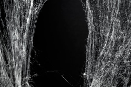 Spooky creepy cobweb spiders web covered a black background. Abstract halloween background. You can put mockup or copyspace for product hereの写真素材