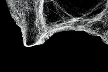 Spooky creepy cobweb spiders web covered a black background. Abstract halloween background. You can put mockup or copyspace for product hereの写真素材
